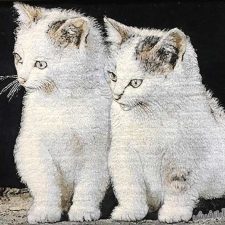 تابلو فرش طرح دو گربه - دستباف - برجسته کاری شده - کد 410