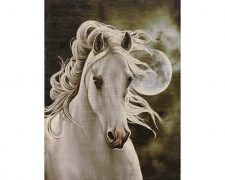 تابلو فرش دستباف طرح کله اسب سفید - کد 712