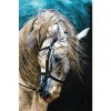 خرید آنلاین تابلو فرش دستباف طرح زیبای کله اسب - کد 727