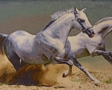 تابلو فرش دستبافت طرح دو اسب در حال دویدن در صحرا - کد 808