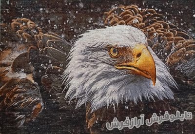 تابلو فرش دستباف طرح عقاب زیبا کد 974