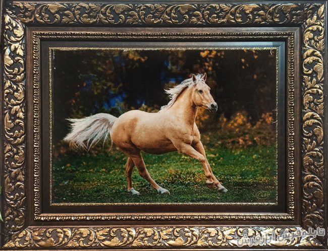 تابلو فرش دستباف طرح اسب وحشی با رنگبندی زیبا کد 1030