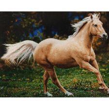 تابلو فرش دستباف طرح اسب وحشی از نمای نزدیک - 1
