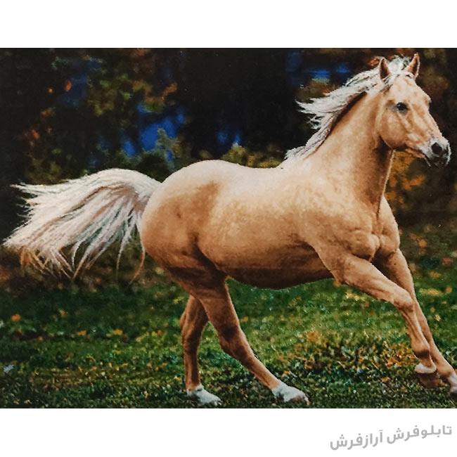 تابلو فرش دستباف طرح اسب وحشی از نمای نزدیک - 1