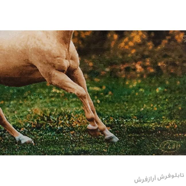 تابلو فرش دستباف طرح اسب وحشی از نمای نزدیک - 3