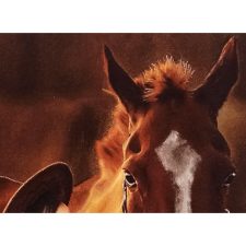 تابلو فرش دستباف طرح دختر و اسب از نمای نزدیک - 1